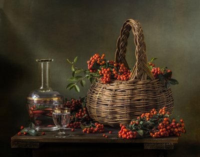  de Olga Aleksandrovna