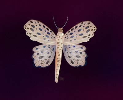 Brilho da Borboleta Manchada de Olga Skomorokhova