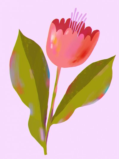 Flor rosa vibrante de Olga Skomorokhova