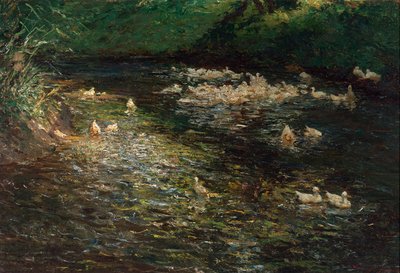 lago de patos de Olga Wisinger Florian