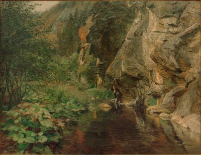 Desfiladeiro de rochas de Olga Wisinger Florian