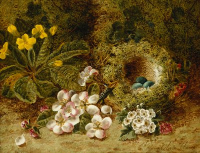Flores de maçã, uma prímula e ninho de pássaros em um banco musgoso, de Oliver Clare