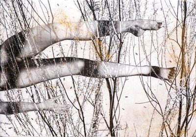 Gambe volanti, 2022 (técnica mista sobre madeira) de Olivia Gozzano