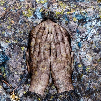 Licheni, 2024 (técnica mista digital) de Olivia Gozzano