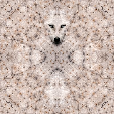 Semi lupus, 2023 (técnica mista digital) de Olivia Gozzano