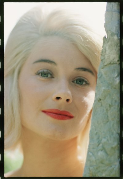 Hope Lange fecha de Orlando Suero