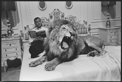 Tony Randall com leão (Zamba), no set de 