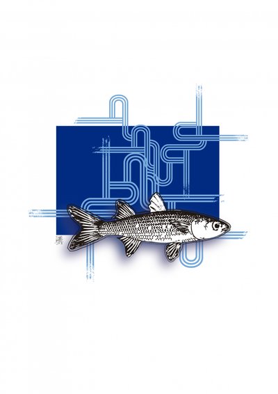Peixe geométrico azul de Osvaldo Russo