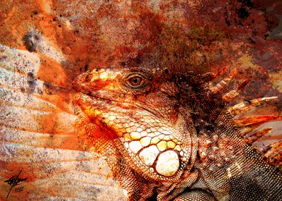 Retrato de uma iguana ardente de Osvaldo Russo
