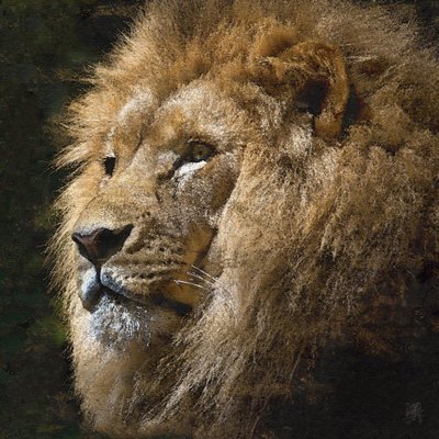 Majestoso Leão Dourado de Osvaldo Russo