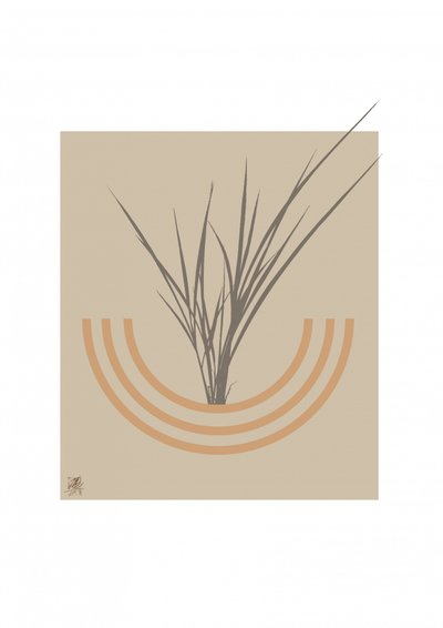 Arco botânico minimalista de Osvaldo Russo
