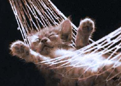 Gatinho a dormir na rede de Osvaldo Russo