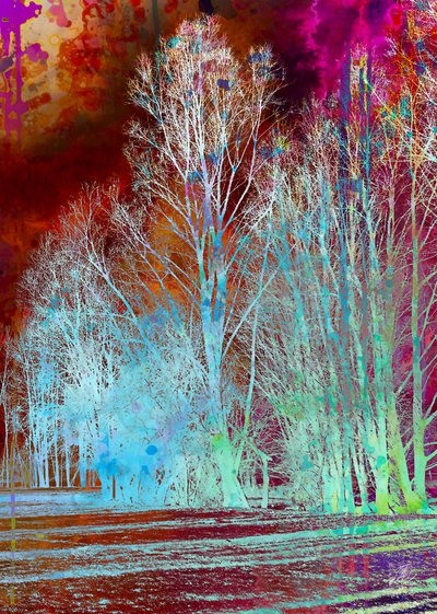 Floresta surreal e colorida de Osvaldo Russo