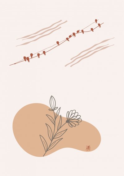 Wired Birds: Harmonia Botânica de Osvaldo Russo