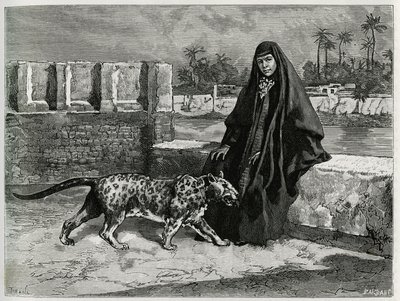 Torkan Khanoum, favorito do xeque Moisés, poderoso líder tribal do Arabistão com a sua panthere. Gravado por Tofani, para ilustrar a história "Persia, Chaldee e Susiane". de Oswaldo Tofani