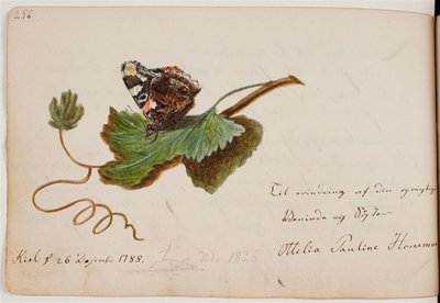 borboleta na folha de Ottilie Pauline Horneman