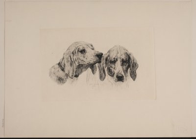 Dinamarquês: Duas cabeças de cão de Otto Bache