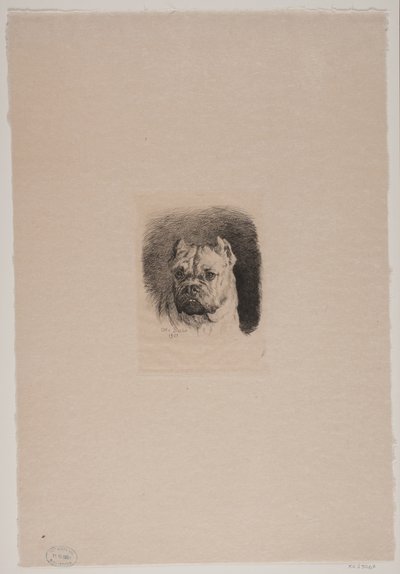 A cabeça de um cão de Otto Bache