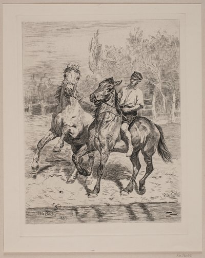 Os cavalos são regados de Otto Bache