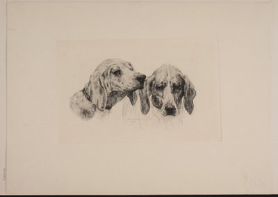 Duas cabeças de cachorro de Otto Bache