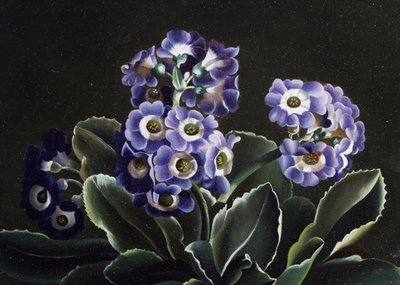 Natureza morta de prímulas de Otto Didrik Ottesen
