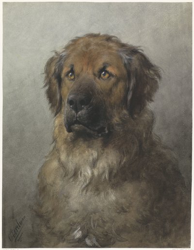 Cabeça de um Leonberger
Cabeça de um Leonberger, da frente de Otto Eerelman