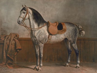 Lipizzaner de Otto Eerelman