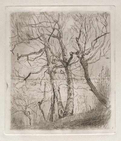 Árvores, 1878. de Otto H. Bacher