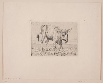 Um bezerro de Otto Haslund
