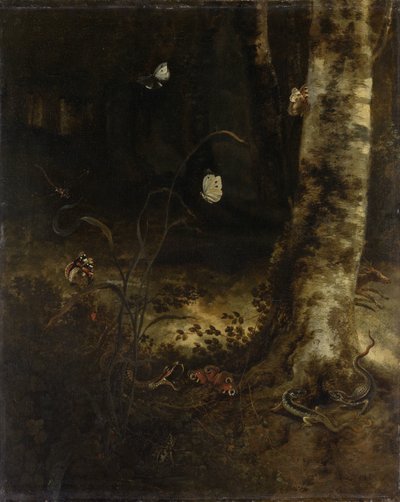 Chão da floresta com cobra, lagartos, borboletas e outros insetos de Otto Marseus  van Schrieck