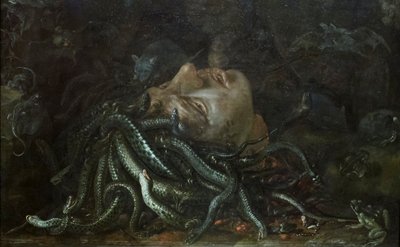 Chefe da Medusa de Otto Marseus  van Schrieck