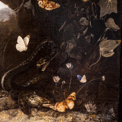 Cobras, sapos e borboletas de Otto Marseus van Schrieck