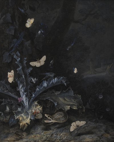 Natureza morta com cardo e cobra de Otto Marseus  van Schrieck