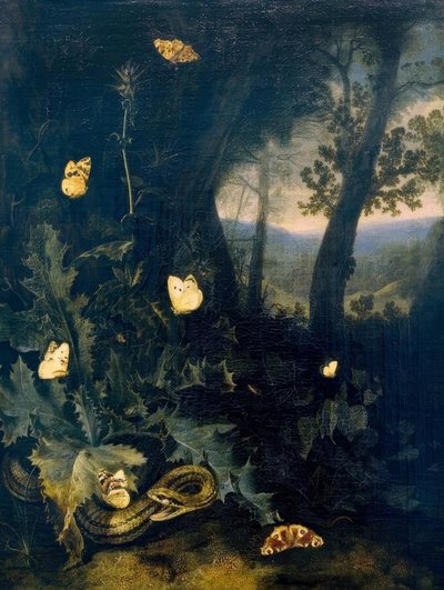 Chão da floresta com cardo e cobra de Otto Marseus  van Schrieck