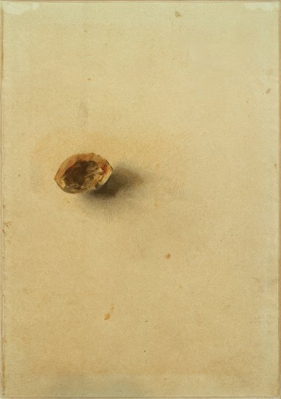 Nusschale de Otto Meyer Amden
