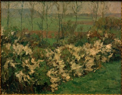 Weißdornhecke de Otto Ubbelohde