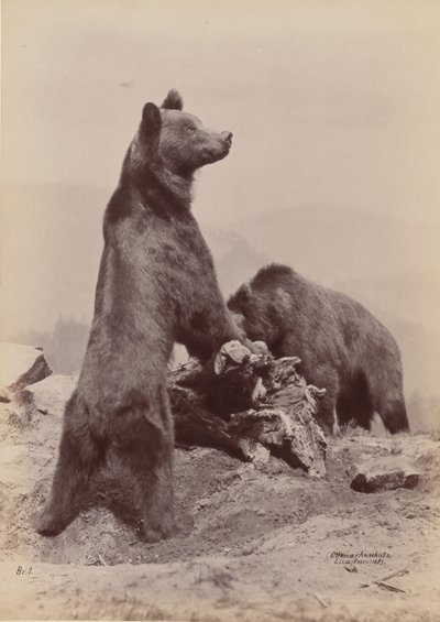 paisagem de Ottomar Anschütz