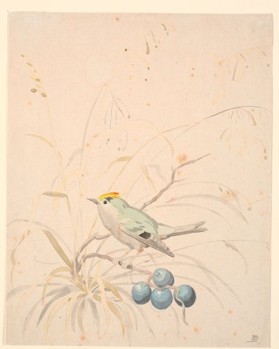 Um pássaro rei em um galho de prado. de P.C. Skovgaard