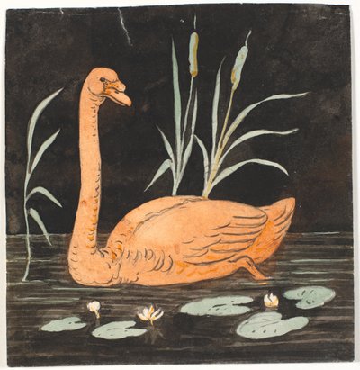 Um cisne em um fundo preto. Rascunho decorativo. de P.C. Skovgaard