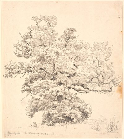 Um grande carvalho, sob o qual se senta um desenhista. de P.C. Skovgaard