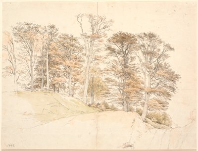 Árvores altas com folhagem de outono em terreno montanhoso de P.C. Skovgaard