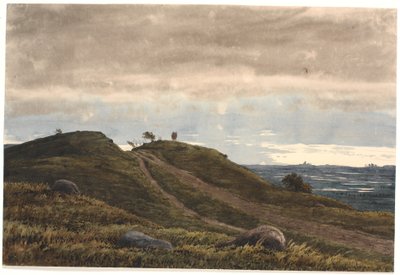 Paisagem com uma estrada de areia que conduz sobre uma colina de urze. À direita, vista de extenso terreno com turfeiras. Da região de Raageleje? de P.C. Skovgaard