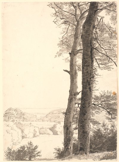 Paisagem de Skarritsø com duas árvores altas, faias, em primeiro plano. de P.C. Skovgaard