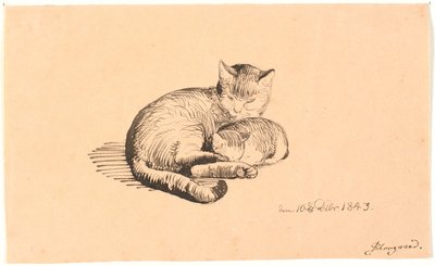 Gato deitado com seu gatinho. de P.C. Skovgaard