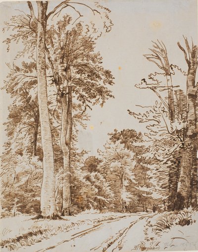Estrada da floresta. Iselinge de P.C. Skovgaard