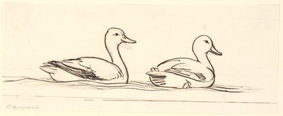 Dois patos. Rascunho decorativo. de P.C. Skovgaard