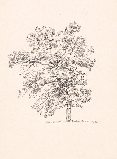 Madeira em Fredensborg de P.C. Skovgaard