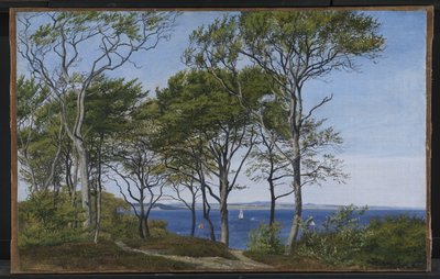Vista através de faias através de um fiorde de P.C. Skovgaard