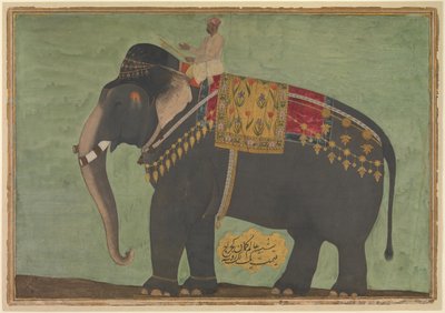 Retrato do Elefante 