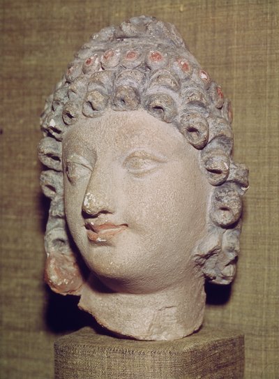 Cabeça de um Buda, estilo greco-budista, 1º a 4º século (estuque) de Pakistani School